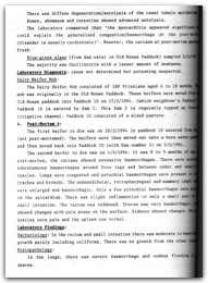 1994 Page 133